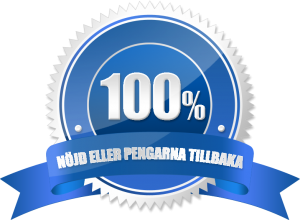 Pengarna tillbaka garanti